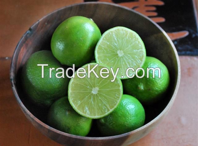 High quality and best price for Fresh Seedless Lime for sale