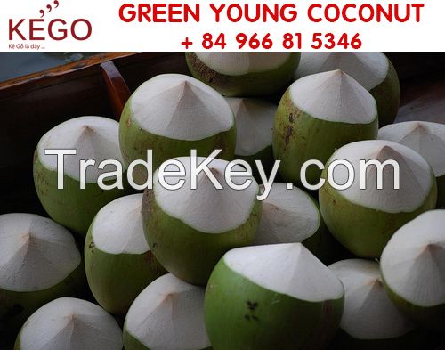 New Crop Vietnam Green Young Coconut For Sale