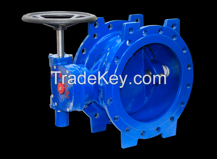 butterfly valve TURKEY