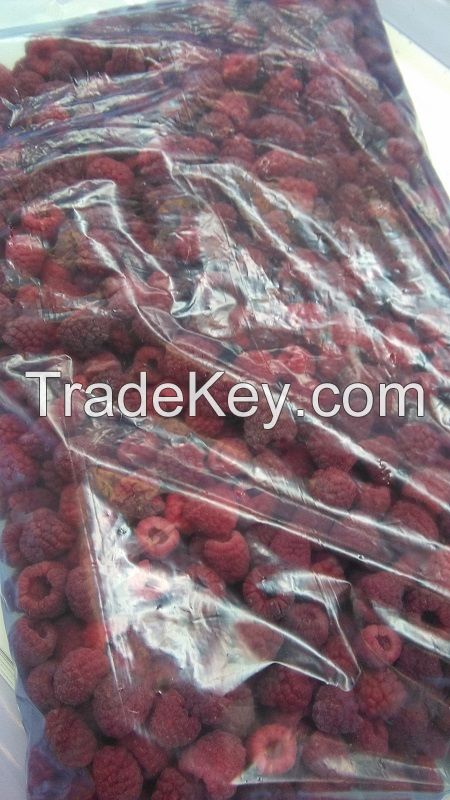 Frozen Raspberries - IQF