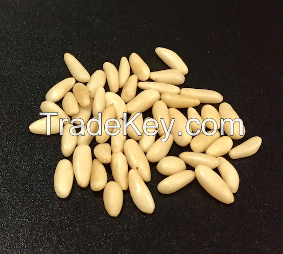 Mediterranean Pine Nuts Kernel | Pine Nuts Supplier