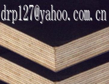offer film face plywood and plywood(skype:ding0127