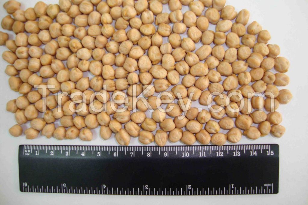 chickpea