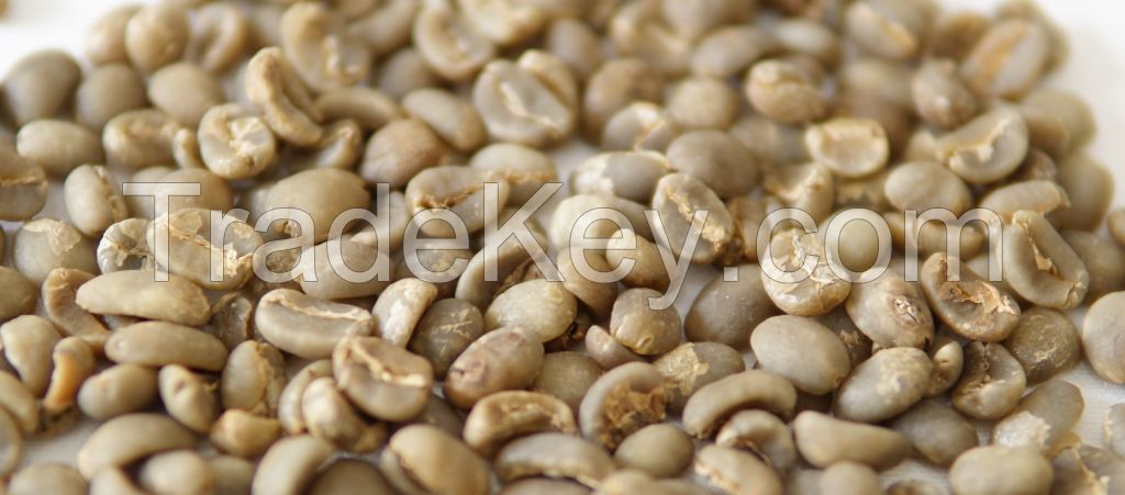 Grade 1 Arabica Coffee Beans from Sumatra