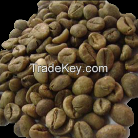 Grade 1 Robusta Coffee Beans from Sumatra