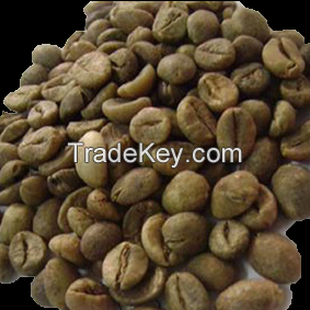 Grade 2 Robusta Coffee Beans from Sumatra