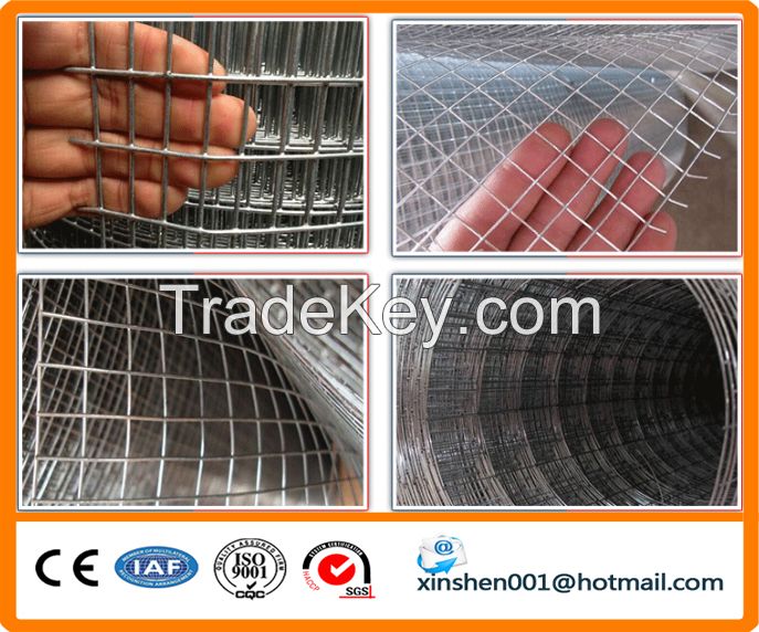 AnPing factory galvanized welded wire mesh price in roll