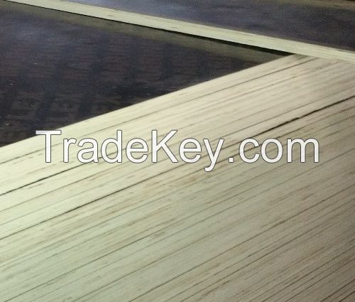 China manufacturer top quality 12mm film faced plywood