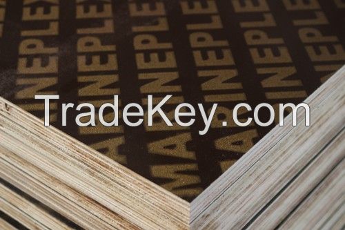 Quality manufacturers poplar core black 12mm film faced plywood