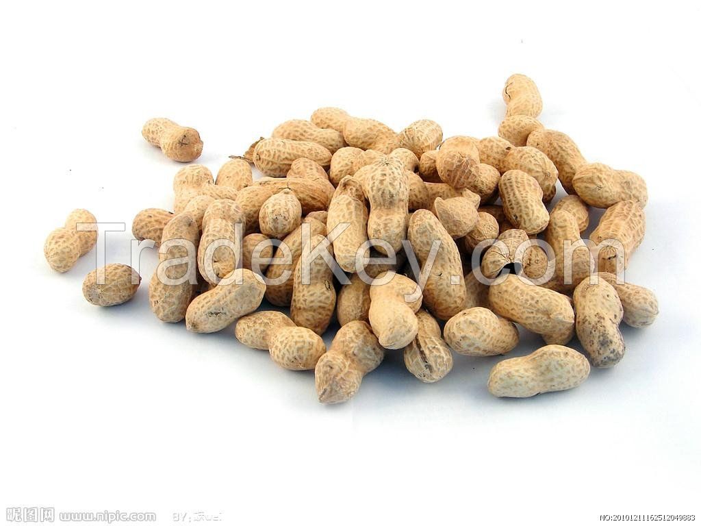 Peanuts