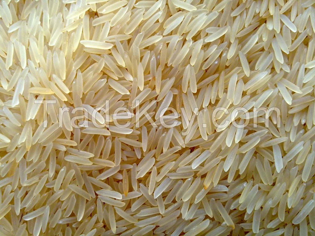 basmati 1121 golden sella rice