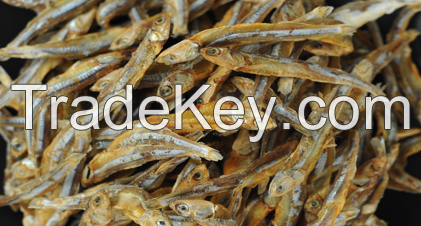 Dried boiled  Anchovy