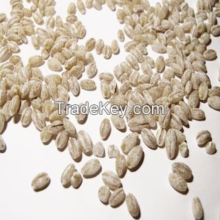 Barley from Ukraine