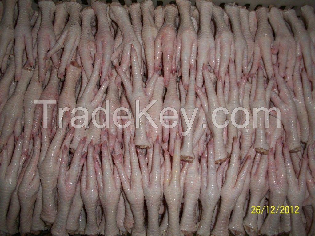 GRADE A FROZEN CHICKEN FEET AVAILABLE FOR SHIPMENT WORLDWIDE