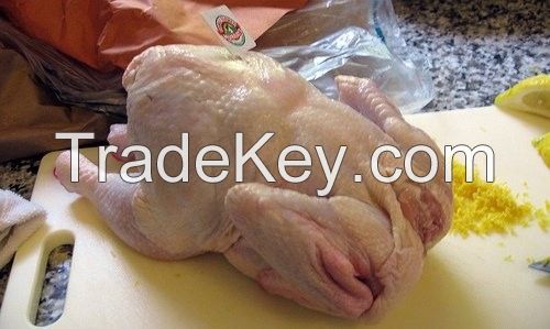 Wholesale Frozen Chicken from Brazil