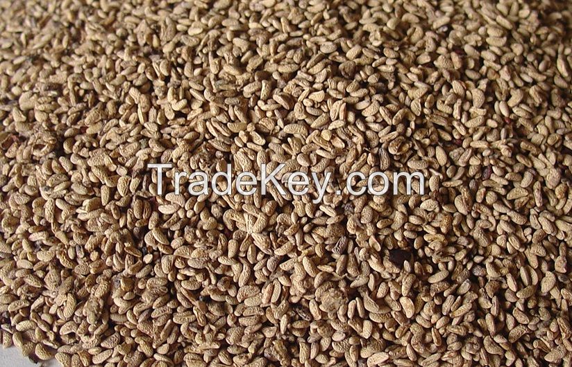 Dried FLAX SEEDS BROWN AND GOLD for: direct food, dairy, fruit preparation, oil pressing, cosmetics