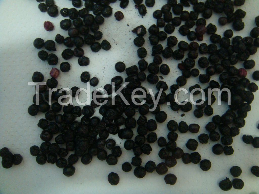 freeze dried LYOPHILIZED ARONIA, BLACK ELDERBERRY for: direct food, dairy, fruit preparation, oil pressing, cosmetics