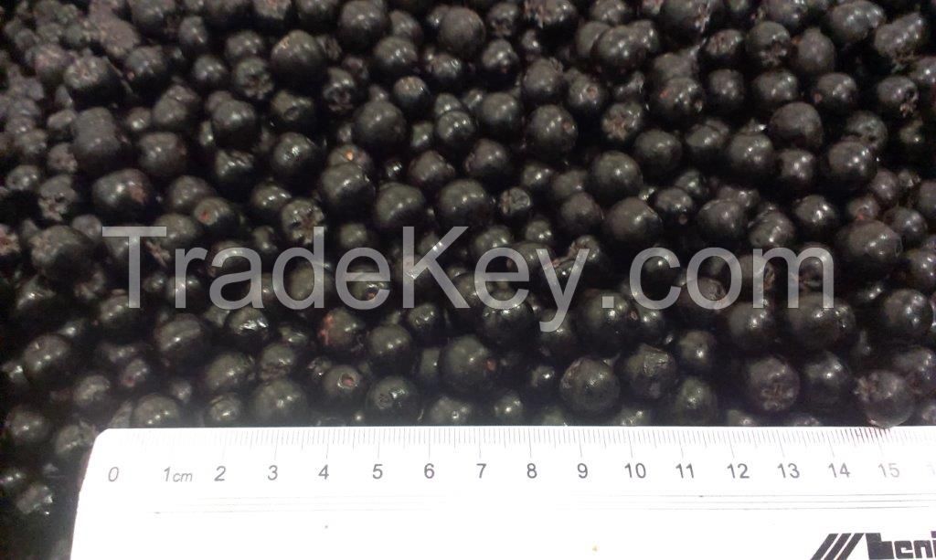 FROZEN fruits and vegetables: CARROT, ARONIA, BLACK ELDERBERRY for: direct food, dairy, fruit preparation, oil pressing, cosmetics