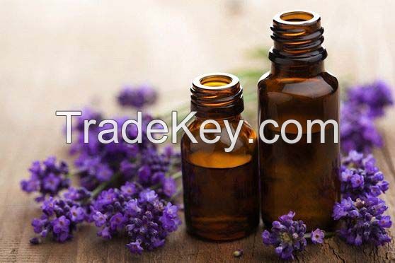 Lavender Essential Oil