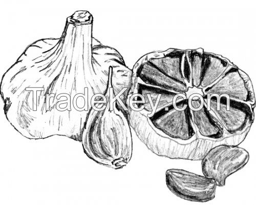 Eravital Black Garlic