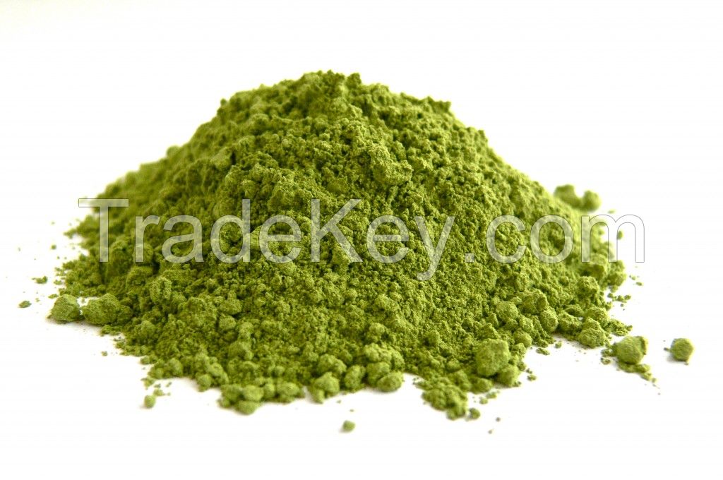 graviola ORGANIC BIO (leaves powder)