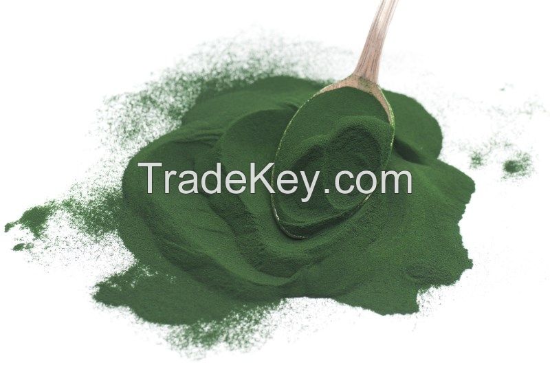 High quality natural Spirulina powder