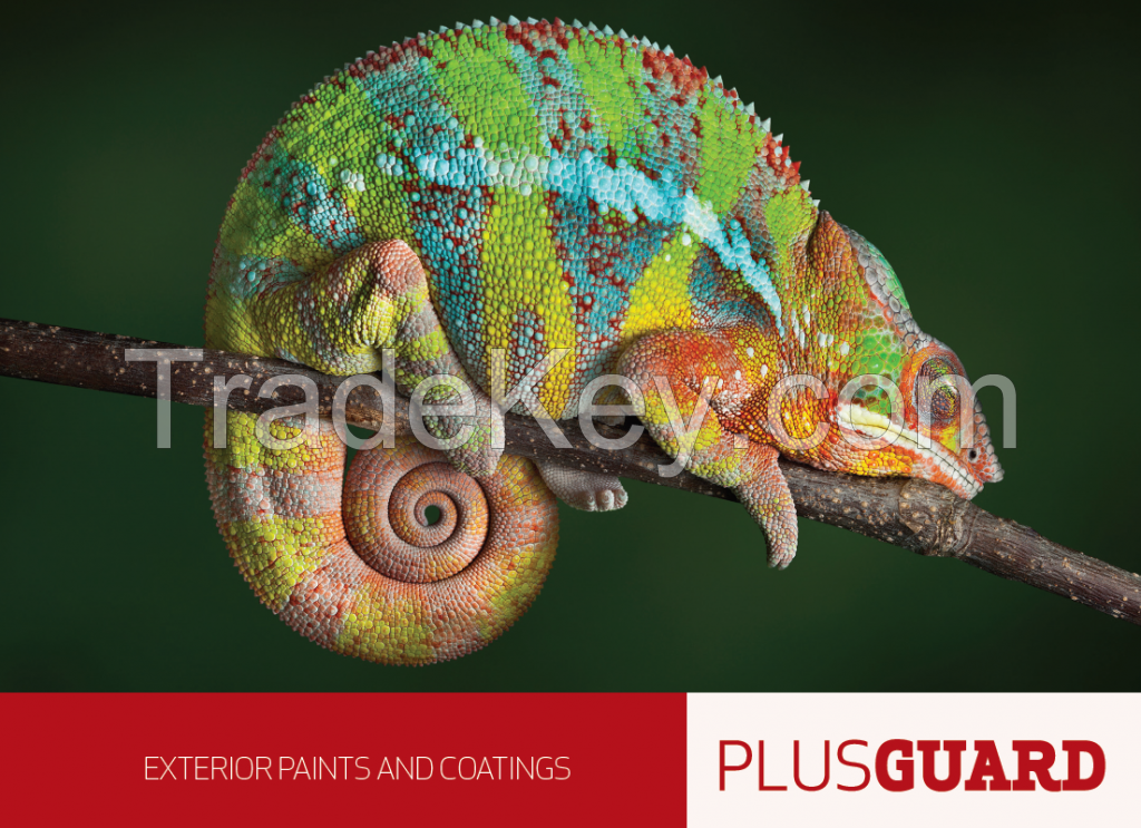 PLUSCOAT PLUSGUARD A20 EXTERIOR ELASTOMERIC PAINT