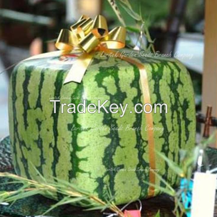 square shaped watermelon , heart shaped atermelon ,star shaped cucumber ,heart shaped cucumber