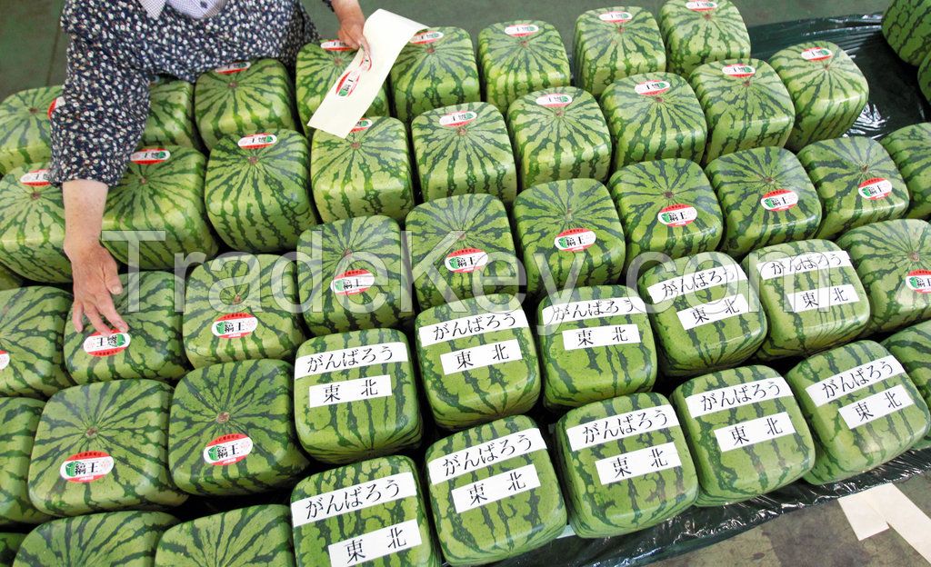 square shaped watermelon , heart shaped atermelon ,star shaped cucumber ,heart shaped cucumber