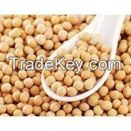 Soybean