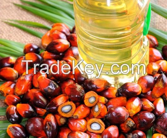 Refined Palm oil