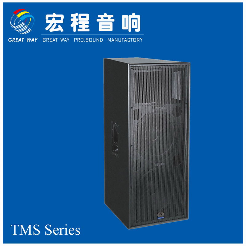 PA Speaker (Soundbullet TMS-1252)