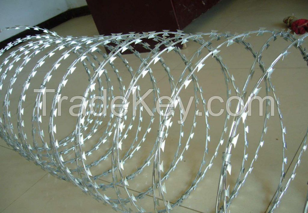 Hot dipped galvanized CBT-60 concertina razor barbed wire