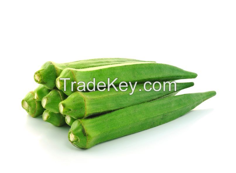 Fresh Okra