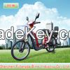 BLW Electric bicycle CE approved Cargo bike two wheel scooter electric , adult bike hot selling