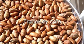 Garnicia kola (Bitter Kola), Cocoa   Beans, Walnuts, Cashew Nuts, Cassava Chips