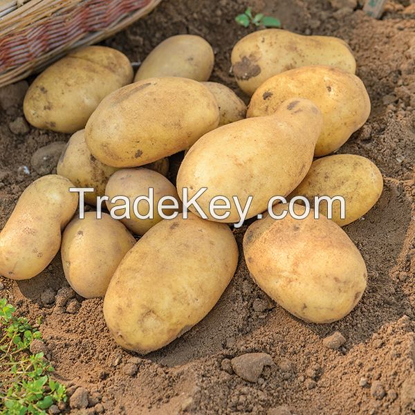 Organic Potatoes