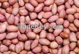 STOI RAW PEANUTS