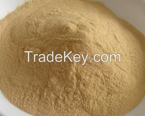 High Quality Galacto-oligosaccharide (GOS-57 Powder) with Fast Delivery