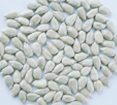 sunflower kernels(confectionary grade)