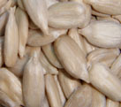 oily sunflower kernels