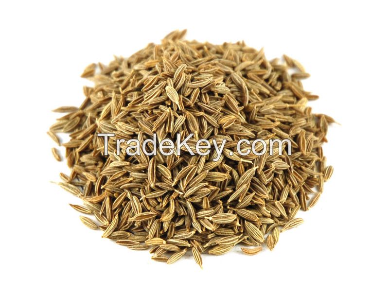 cumin seed