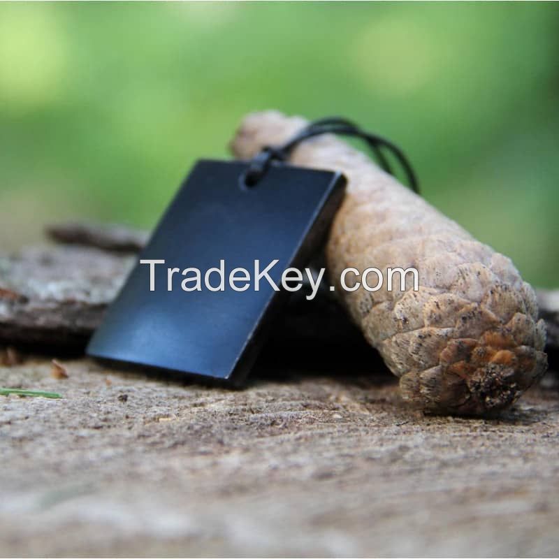 Protective Shungite Stone Pendant