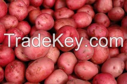 fresh lady rosetta potatoes