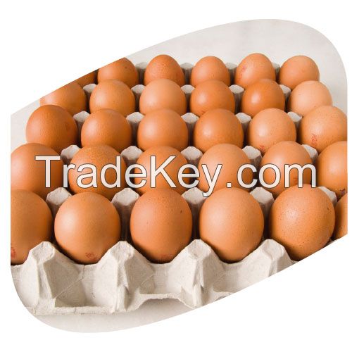 Fresh brown table eggs (M size 53-63 gms)