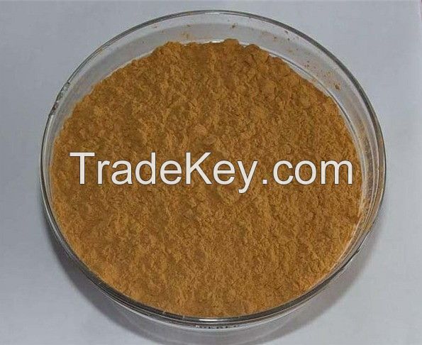 Natural Extract Licorice root Powder/Licorice root Extract Powder