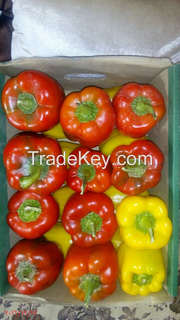 fresh Capsicum