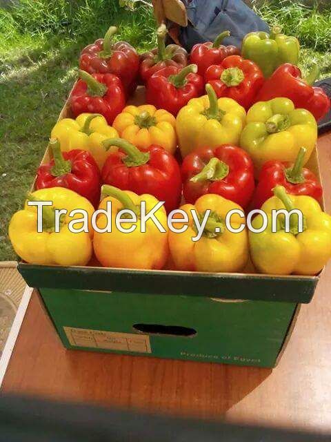 fresh Capsicum