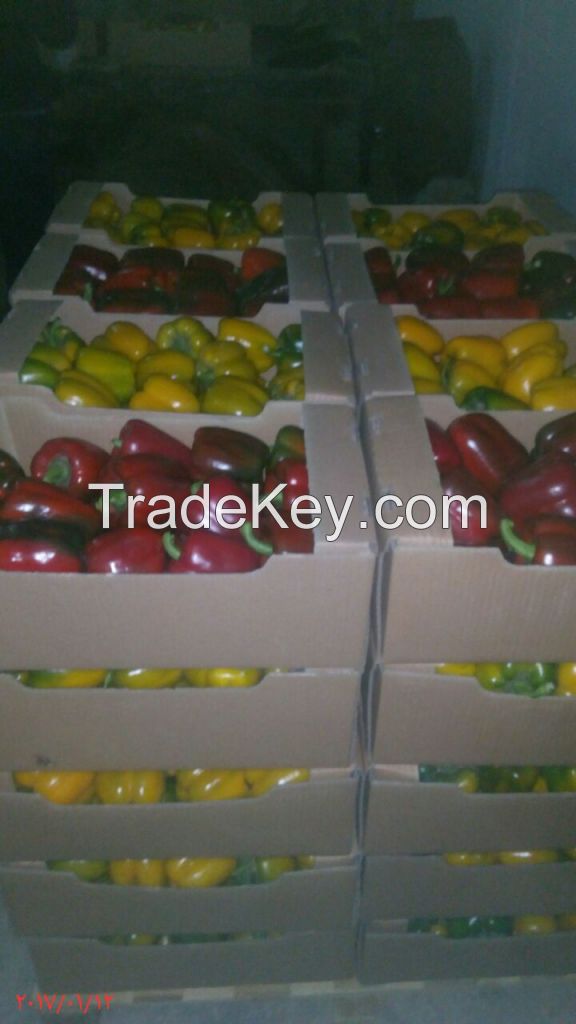 fresh Capsicum