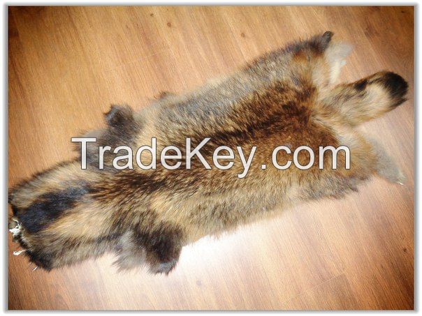 Raccoon furs from LEOSKIN FURS